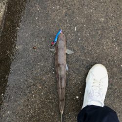 小雨の中、諦めずに頑張った…。