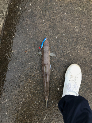 小雨の中、諦めずに頑張った…。