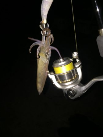 ポツポツヒイカ