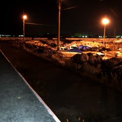 タコ短時間釣行