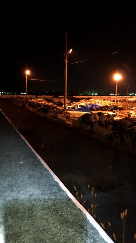 タコ短時間釣行