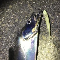 フラっと寄り道