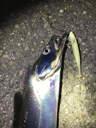 フラっと寄り道