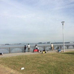 武豊緑地へいってみた。