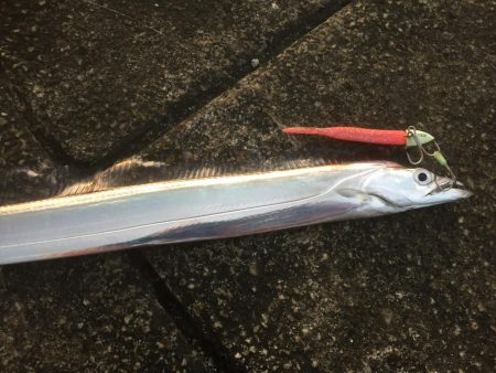 ドラゴンは来なかったけど