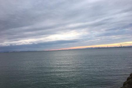 ショアジグぼうず