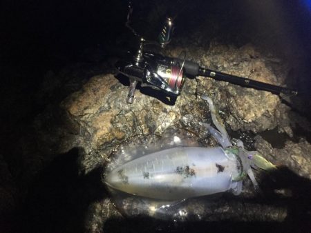 ひたすらシャクシャク