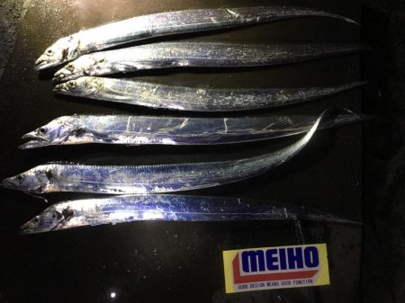 地合い無く厳しいタチウオ