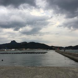 アオリングがガシリングへ。。。