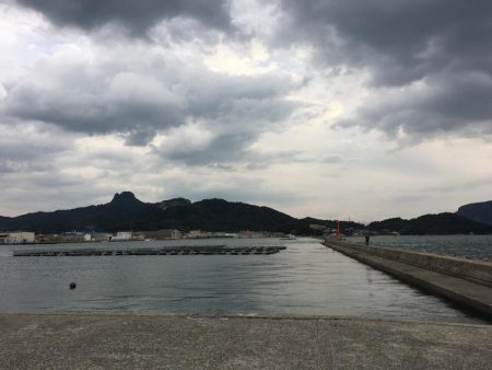 アオリングがガシリングへ。。。