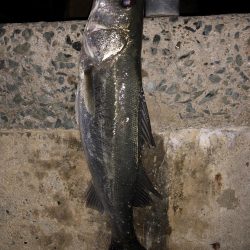 祝◎ 出世しました!