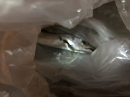 渋いと聞いてましたがその通りでした