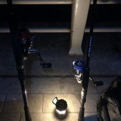 ベタ凪のシーサイドコスモ