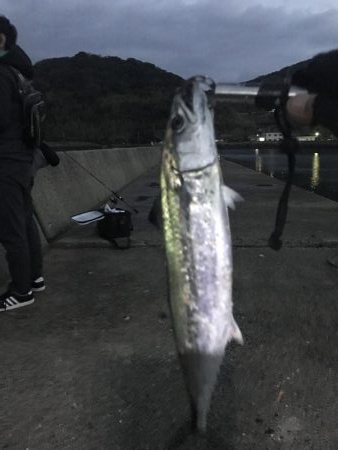 鷹島釣行