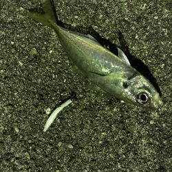 ライトライトライト