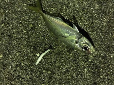 ライトライトライト