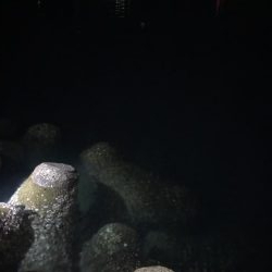 リベンジマッチ