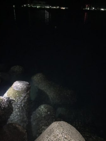 リベンジマッチ