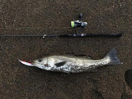 日没直後波打際直撃