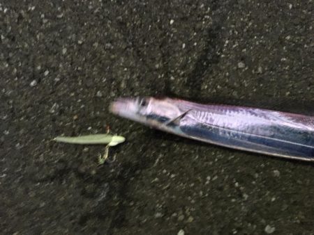 明るい時間に！しかし・・・