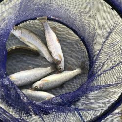 服部緑地ウォーターランド