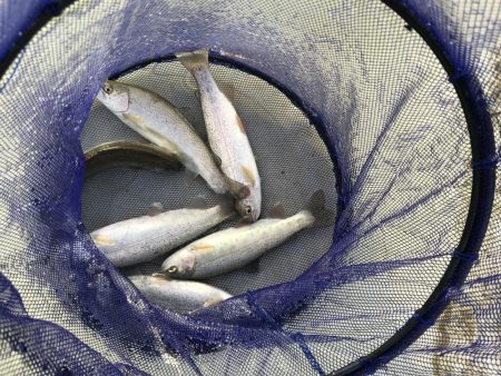 服部緑地ウォーターランド