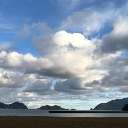 鯉川でぼちぼち