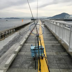 太刀魚渋い デカアジ回遊中