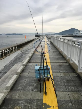 太刀魚渋い デカアジ回遊中