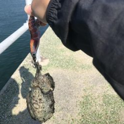 生まれて初めての