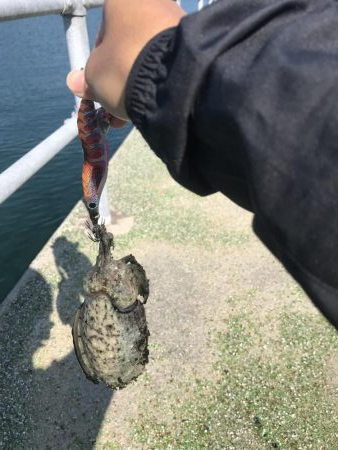 生まれて初めての