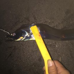 初めてのテンヤ