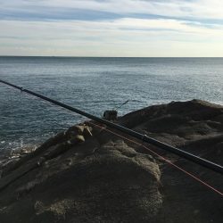 シーズンですね