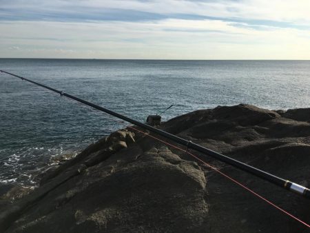 シーズンですね