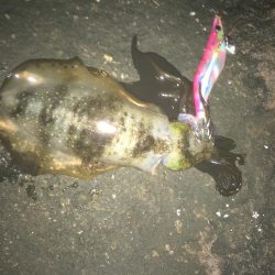 仕事辞めたっす