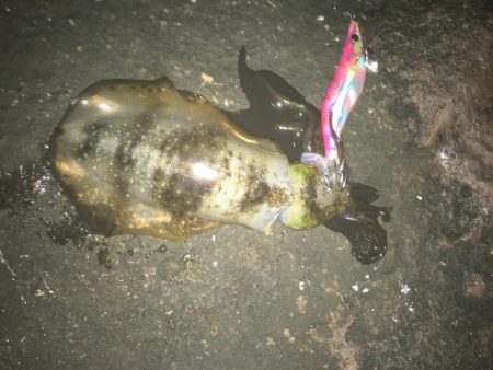 仕事辞めたっす