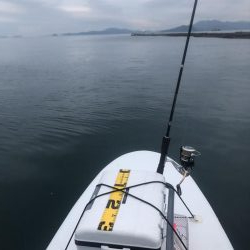 サップフィッシング