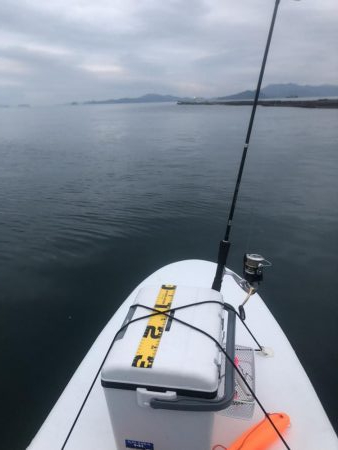 サップフィッシング