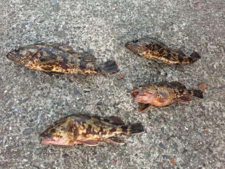 寒い釣りはたまらん