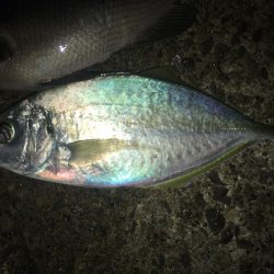 まさかの○○○○