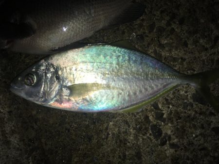 まさかの○○○○