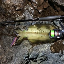 会社の偉いさんと