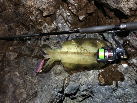 会社の偉いさんと