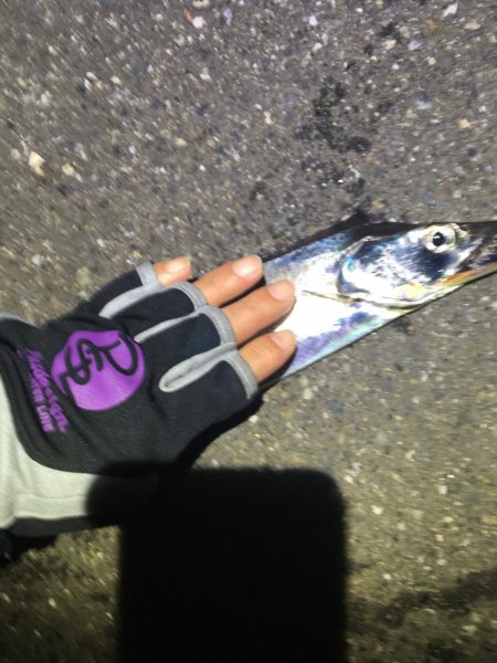 行って良かった！