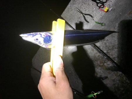 タチウオやーい？どこやー？