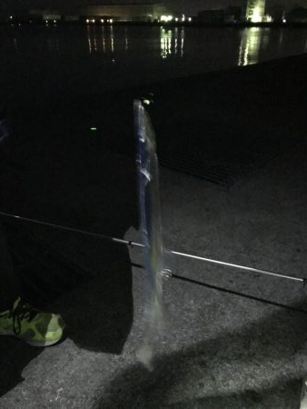 なんとかタチウオ！