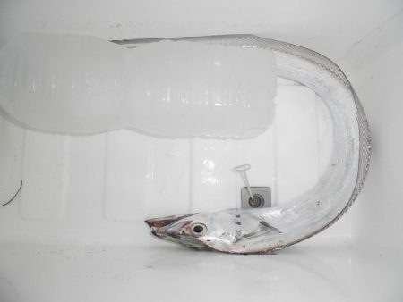 タッチ―１本！