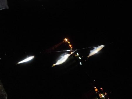 サバ５匹　豆～小アジ７０匹位