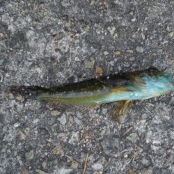 久しぶりの市役所裏