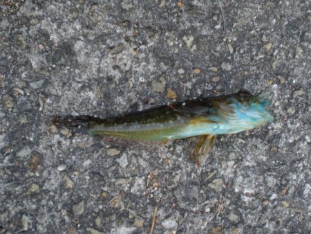 久しぶりの市役所裏